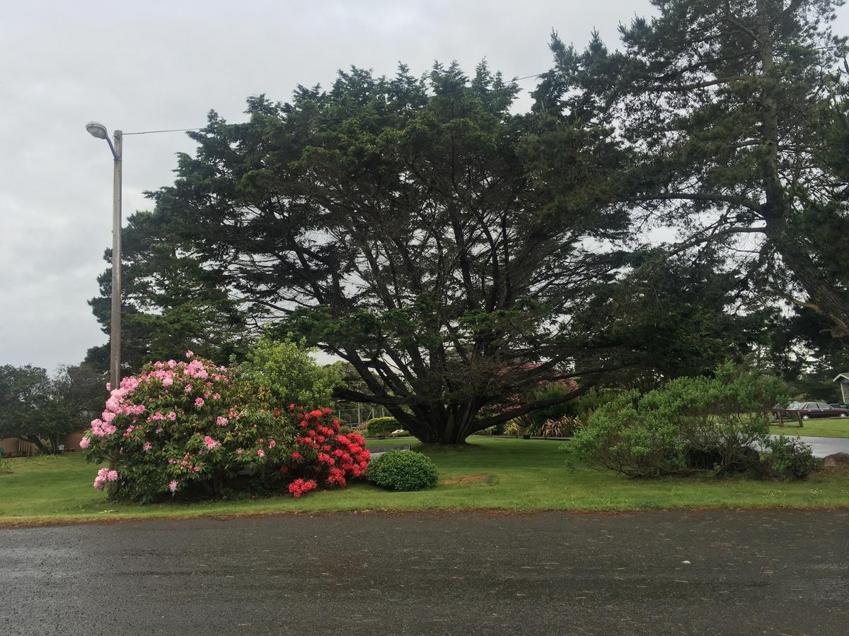 Pine Beach Inn Fort Bragg Eksteriør billede