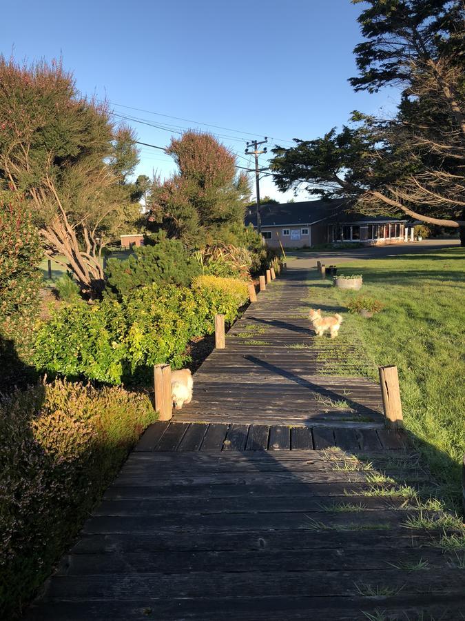 Pine Beach Inn Fort Bragg Eksteriør billede
