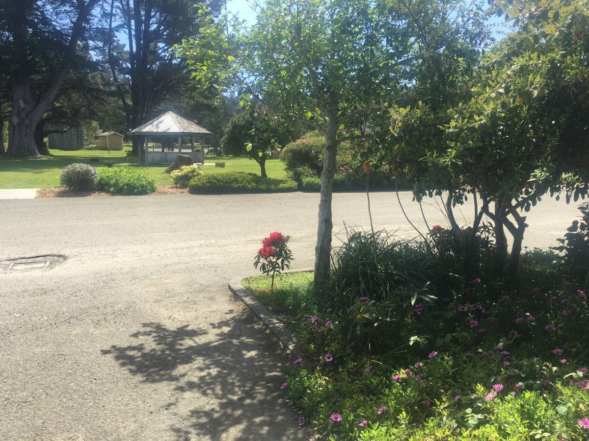 Pine Beach Inn Fort Bragg Eksteriør billede